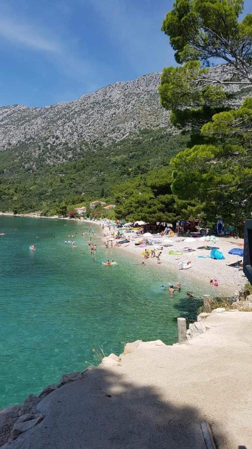 Apartmants Villa Lungo Mare Živogošće 外观 照片