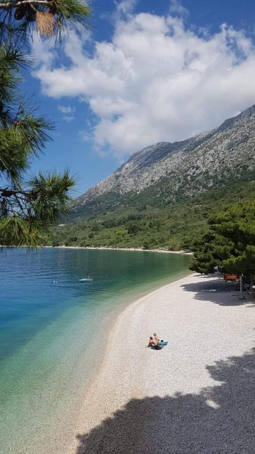 Apartmants Villa Lungo Mare Živogošće 外观 照片