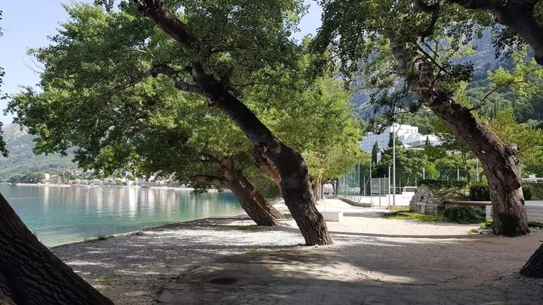 Apartmants Villa Lungo Mare Živogošće 外观 照片