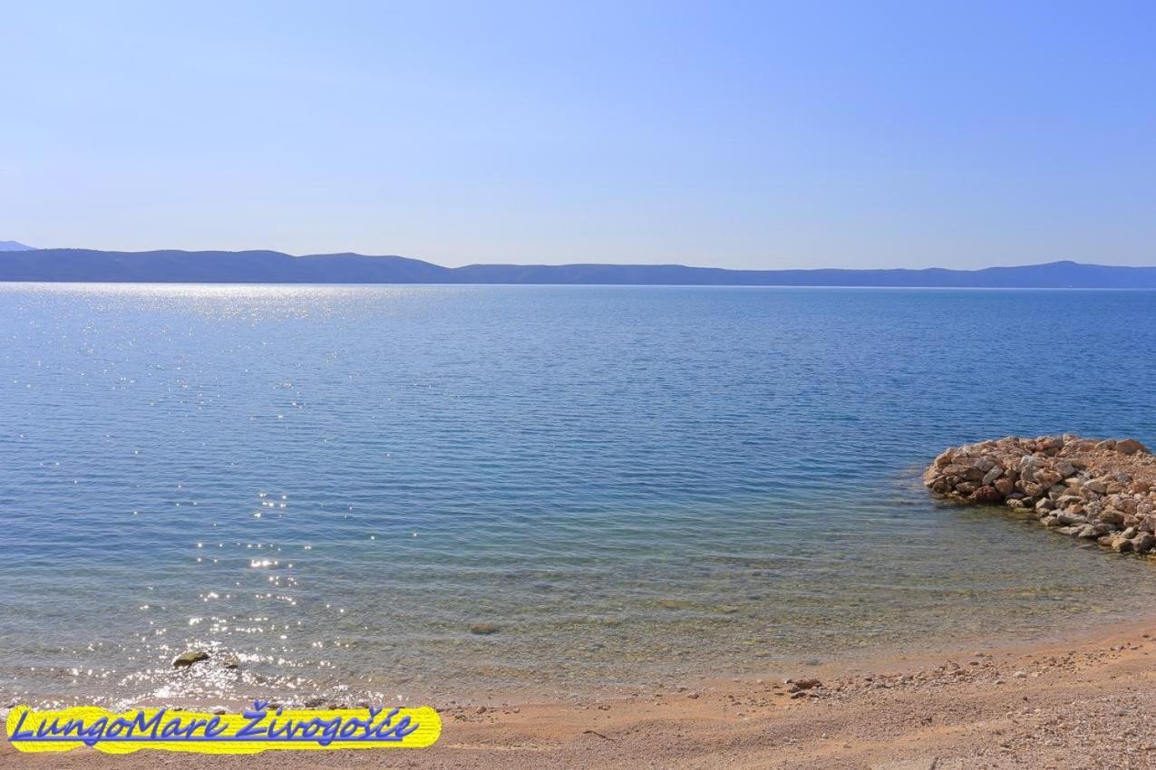 Apartmants Villa Lungo Mare Živogošće 外观 照片